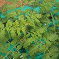 085003_20181016103643_02.JPG