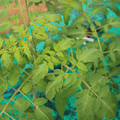 085003_20181016103644_04.JPG