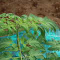 085003_20181016103656_02.JPG