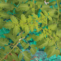 085003_20181016103710_02.JPG