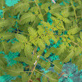 085003_20181016103710_04.JPG