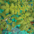 085003_20181016103711_02.JPG