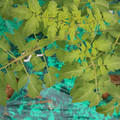 085003_20181016103711_03.JPG