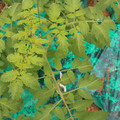 085003_20181016103711_04.JPG
