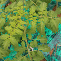085003_20181016103712_01.JPG