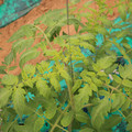 085003_20181016103713_05.JPG
