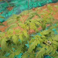 085003_20181016103714_02.JPG