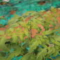 085003_20181016103714_03.JPG