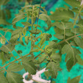 085003_20181016103732_02.JPG