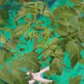 085003_20181016103732_03.JPG