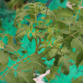 085003_20181016103733_01.JPG
