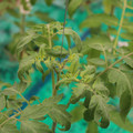085003_20181016103733_04.JPG