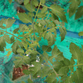 085003_20181016103737_01.JPG