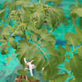 085003_20181016103739_03.JPG