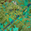 085003_20181016103756_01.JPG