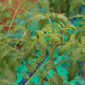 085003_20181016103757_03.JPG