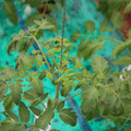 085003_20181016103800_01.JPG