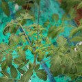085003_20181016103800_02.JPG