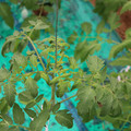 085003_20181016103800_03.JPG
