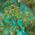 085003_20181016103802_01.JPG