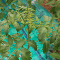 085003_20181016103802_02.JPG
