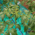 085003_20181016103802_03.JPG