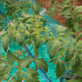 085003_20181016103802_04.JPG