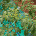 085003_20181016103802_05.JPG