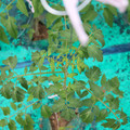 085003_20181016103806_03.JPG
