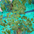 085003_20181016103807_01.JPG