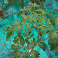 085003_20181016103809_03.JPG