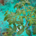 085003_20181016103810_02.JPG