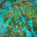 085003_20181016103810_03.JPG