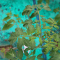 085003_20181016103811_01.JPG