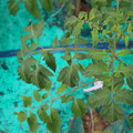 085003_20181016103811_04.JPG