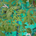 085003_20181016103814_01.JPG