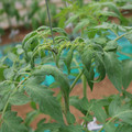 085003_20181016103926_03.JPG