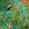 085003_20181016103931_02.JPG