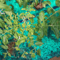 085003_20181018095940_02.JPG
