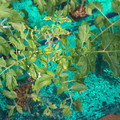 085003_20181018095940_03.JPG