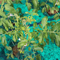 085003_20181018095942_02.JPG