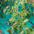 085003_20181018095947_03.JPG