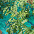 085003_20181018095948_01.JPG