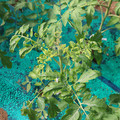 085003_20181018095948_02.JPG