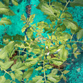 085003_20181018095955_01.JPG