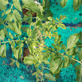 085003_20181018095956_01.JPG
