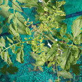 085003_20181018095958_03.JPG