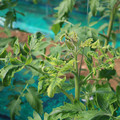 085003_20181018100006_01.JPG