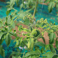 085003_20181018100010_01.JPG