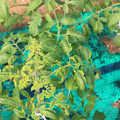 085003_20181018100023_02.JPG